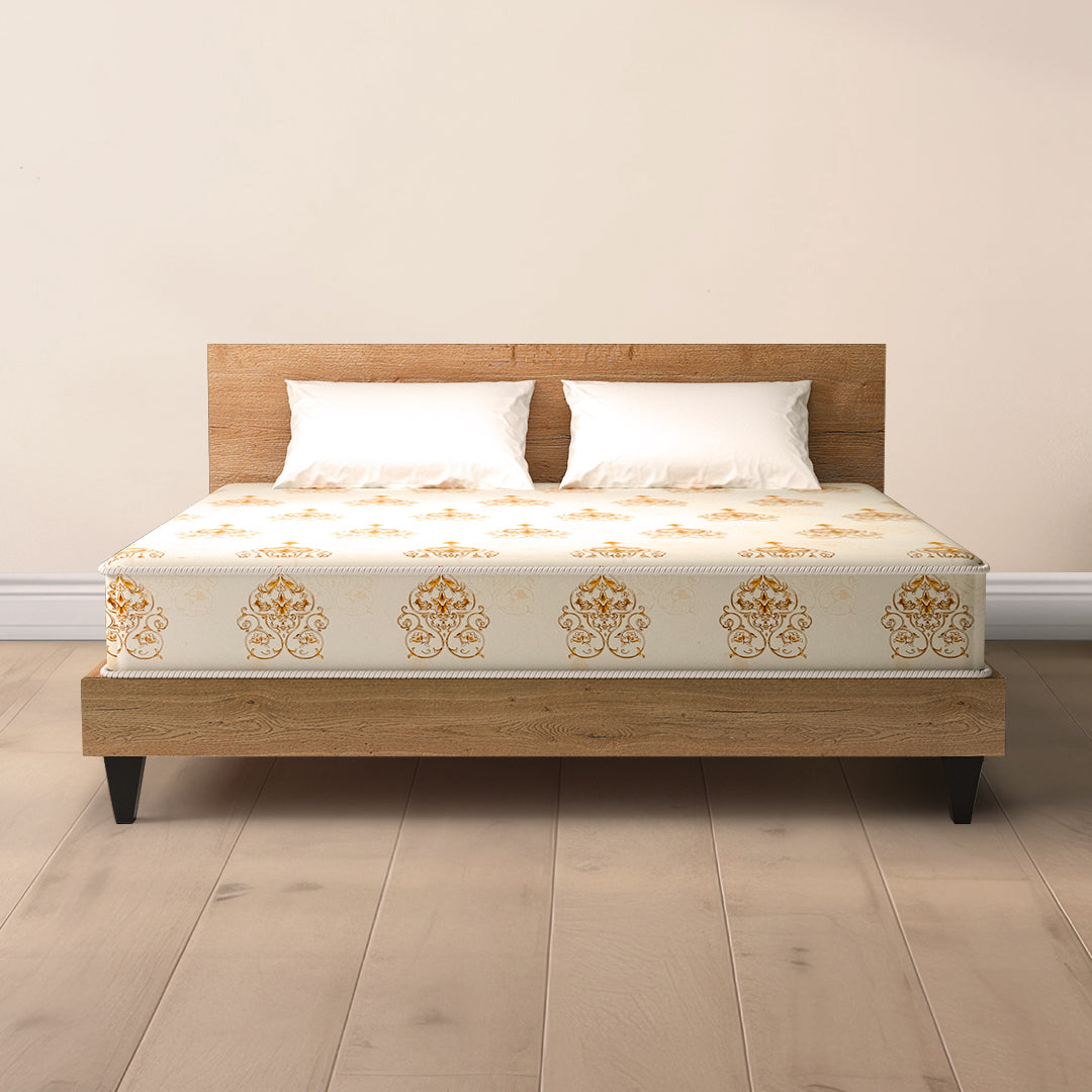 MoltyFoam MasterFoam